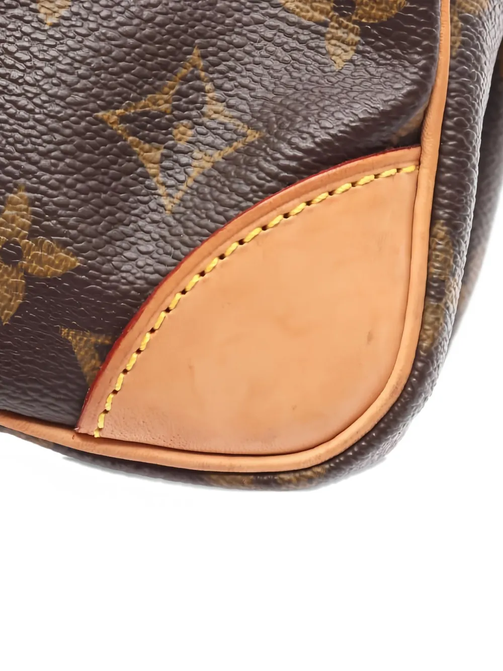 Pre-owned Louis Vuitton Amazon Shoulder Bag In Brown