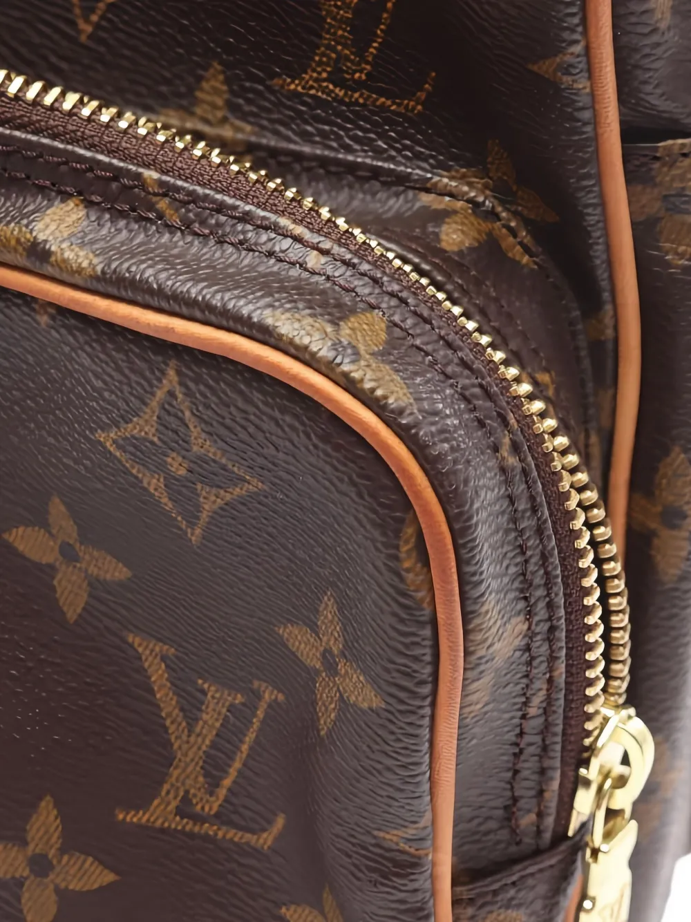 Pre-owned Louis Vuitton Amazon Shoulder Bag In Brown