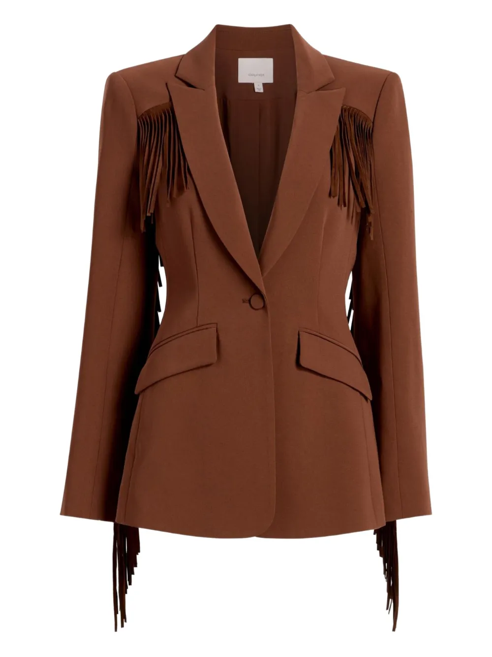 Cinq À Sept Cheyenne Suede Fringe Blazer In Brown