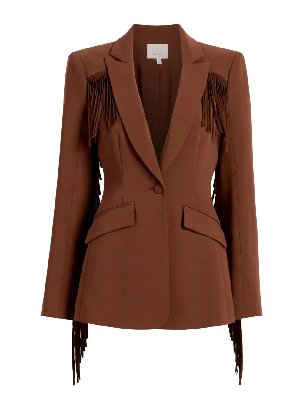 Cinq À Sept Cheyenne Suede Fringe Blazer In Brown