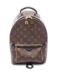 Louis Vuitton Pre-Owned 2020 Monogram Palm Springs PM backpack - Brown