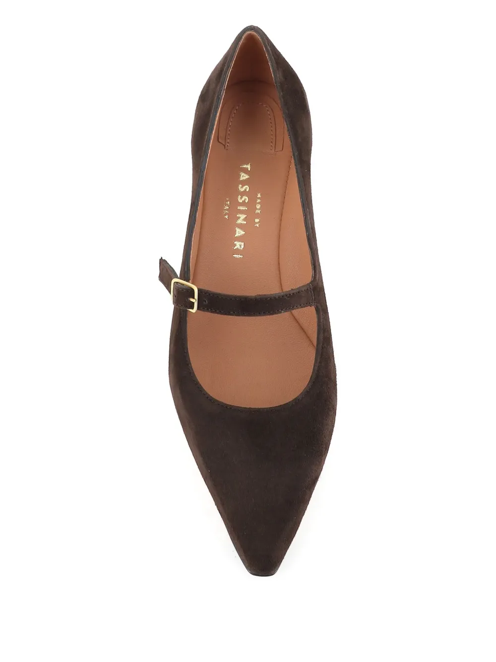 Tassinari Buckle-strap Pointed-toe Pumps In Brown