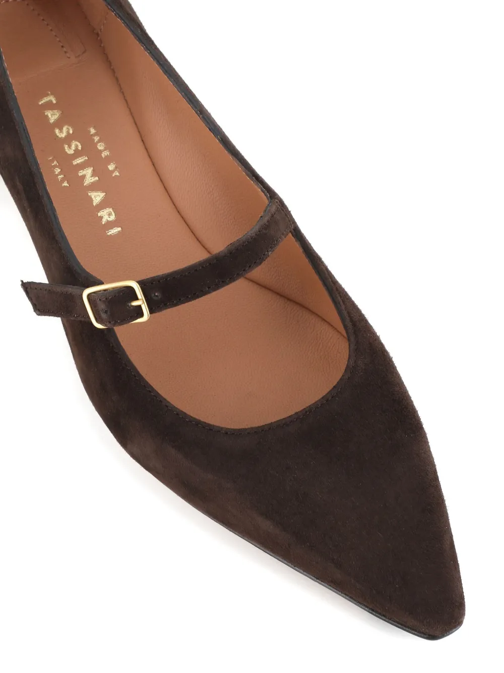 Tassinari Buckle-strap Pointed-toe Pumps In Brown