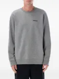 Patagonia Fitz Roy Icon crew-neck sweatshirt - Grey