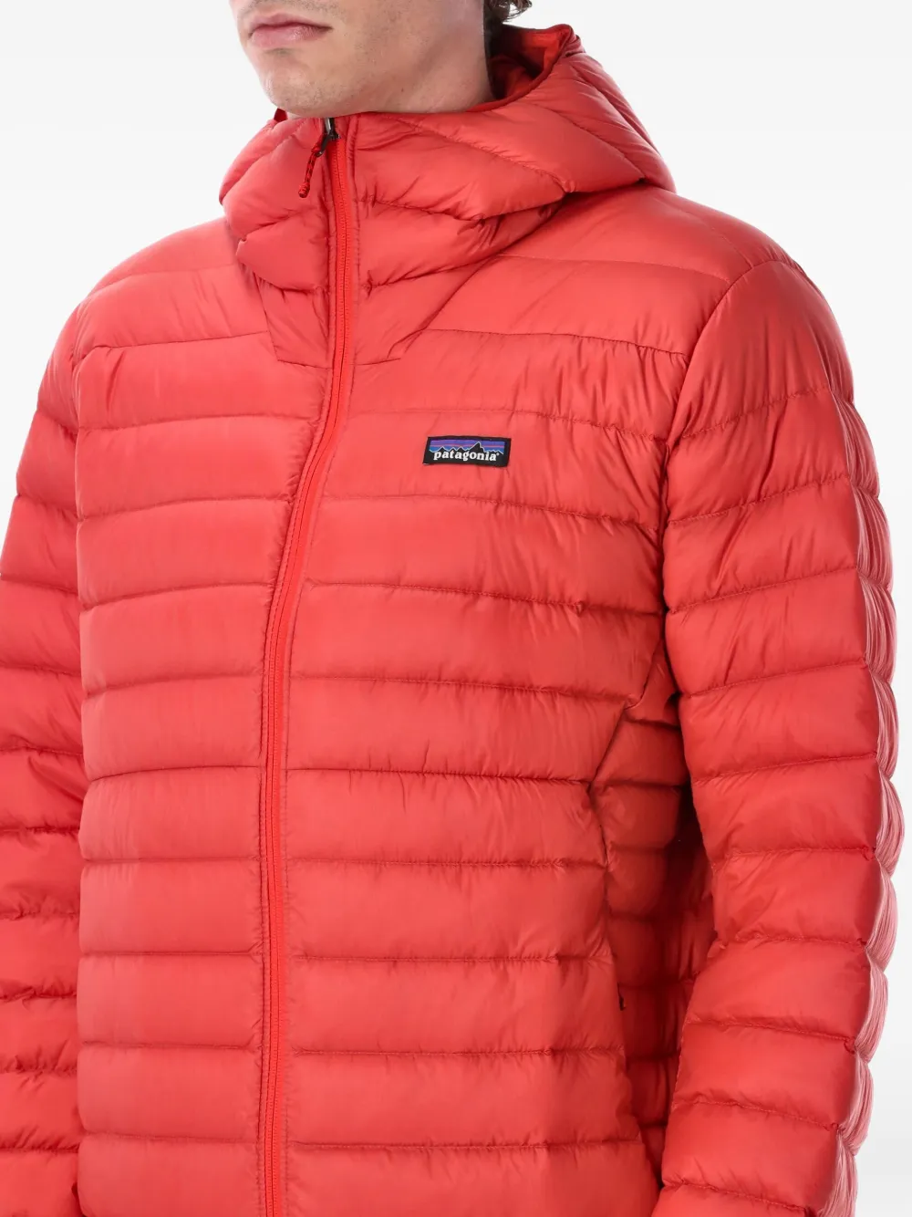 Patagonia Down Sweater jack met capuchon Rood