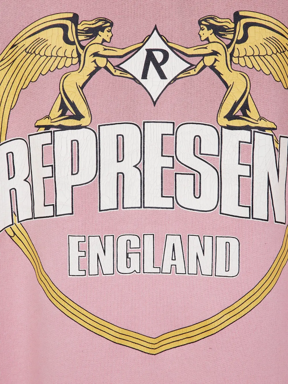 Represent Hoodie met print Roze