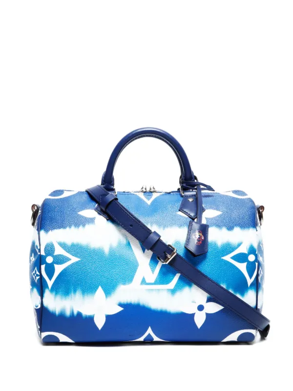 Louis Vuitton Pre-Owned 2020 Speedy 30 Tote Bag | Blue | FARFETCH