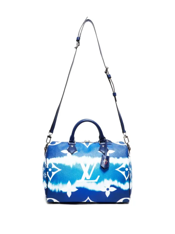 Louis Vuitton Pre-Owned 2020 Speedy 30 Tote Bag | Blue | FARFETCH
