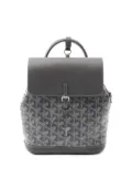 Goyard Pre-Owned mini Alpin backpack - Black