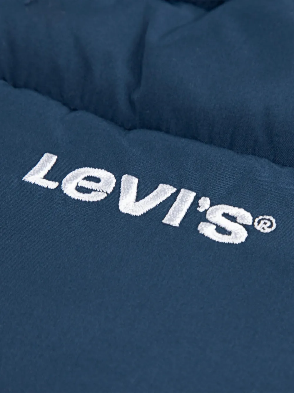 Levi's Kids Jack met capuchon Blauw