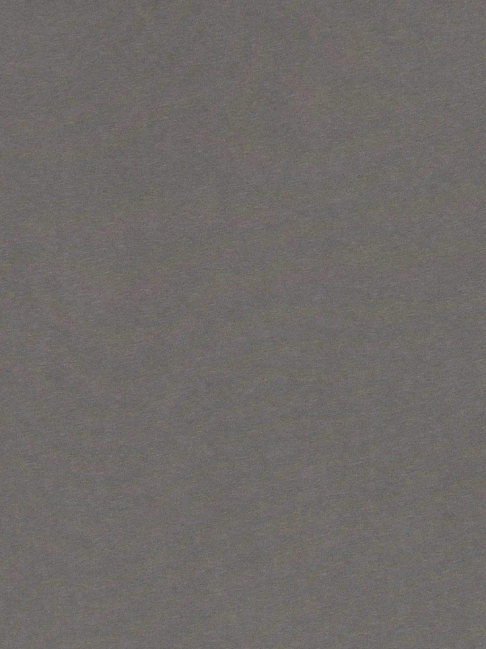 ANERKJENDT T-shirt met ronde hals en korte mouwen Grijs