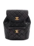 CHANEL Pre-Owned 1991-1994 Medium Quilted Lambskin Duma backpack - Black