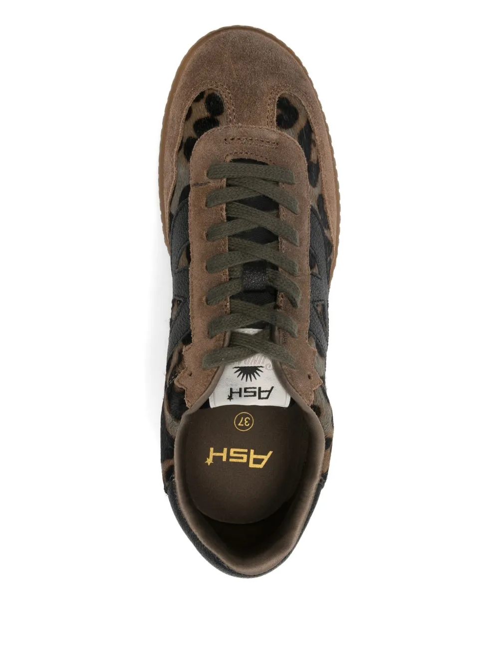 Ash Leopard-print Sneakers In Brown