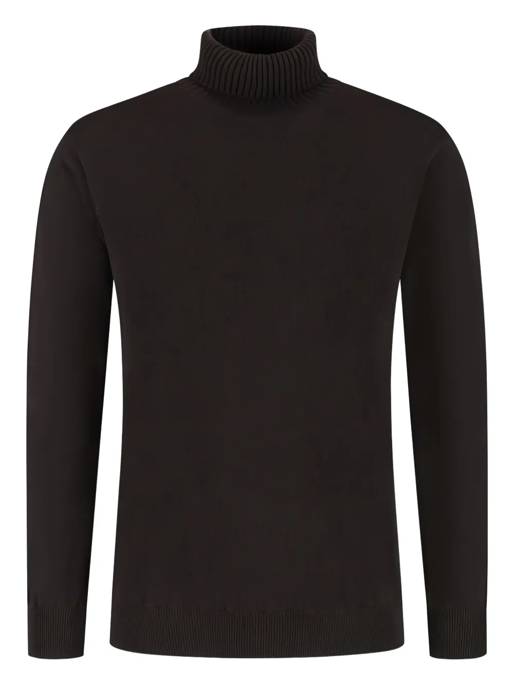 Doriani Turtleneck Sweater In Brown