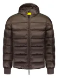 Parajumpers Pharrel hooded padded jacket - Brown