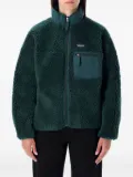 Patagonia fleece zip-up jacket - Green