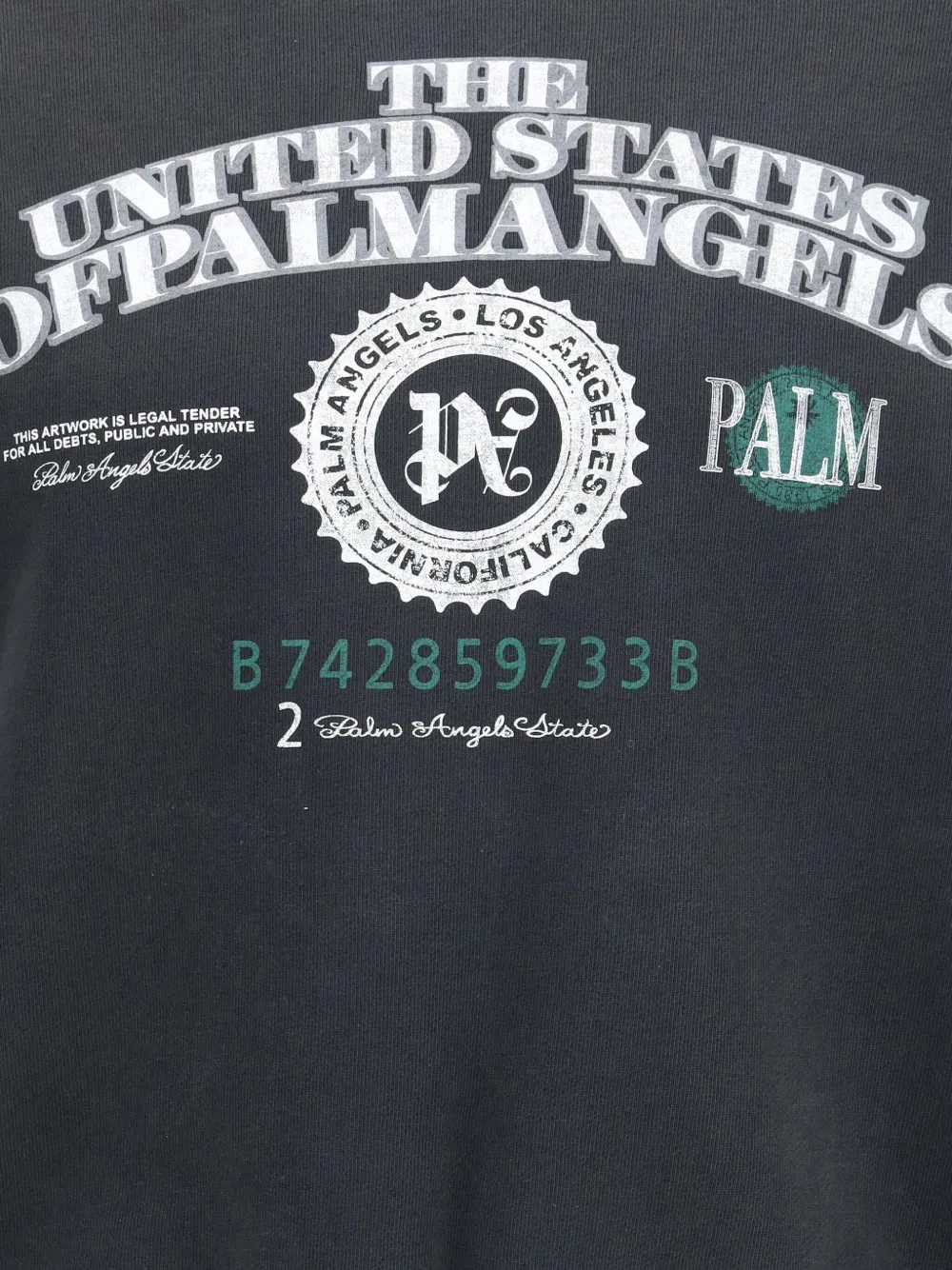 Palm Angels T-shirt met print en ronde hals Zwart