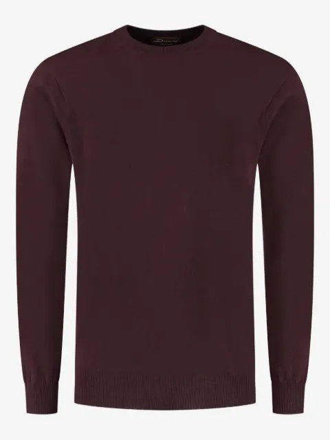 DORIANI crew-neck sweater