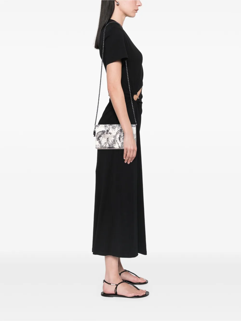 Christian Dior Pre-Owned 2019 Calfskin Toile De Jouy Carnivora Wallet On Chain crossbody bag | Pre-Owned | Image 2