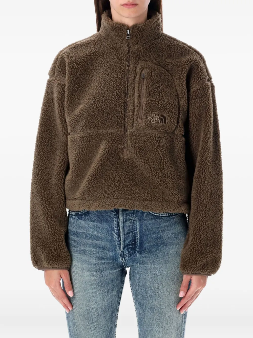 The North Face Extreme Pile-texture Half-zip Pullover In Brown