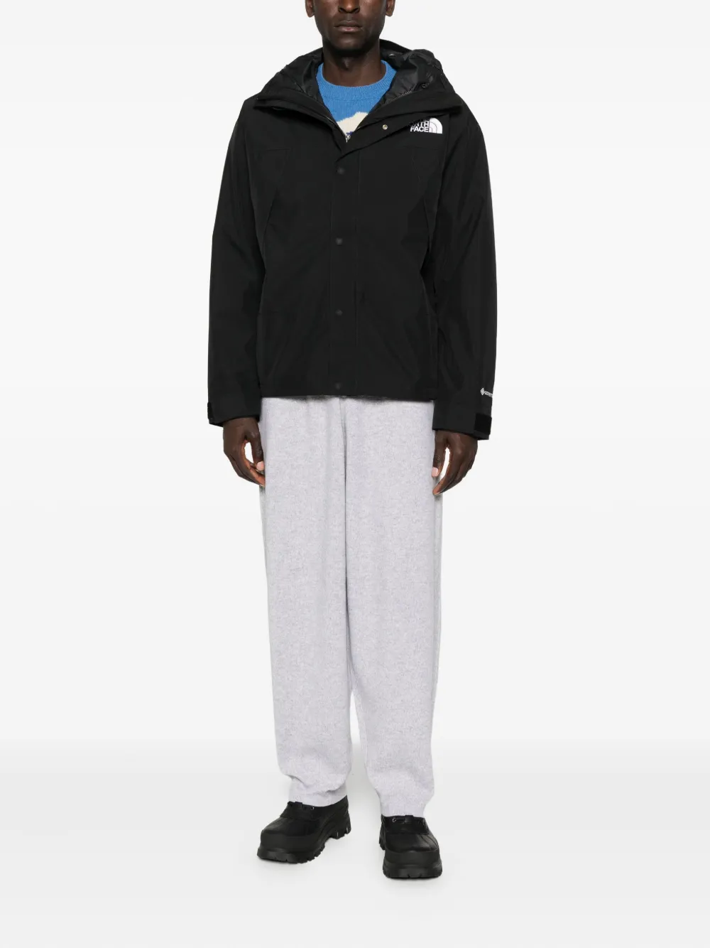 The North Face GTX Mountain jacket | Hooded Jackets | Image 2