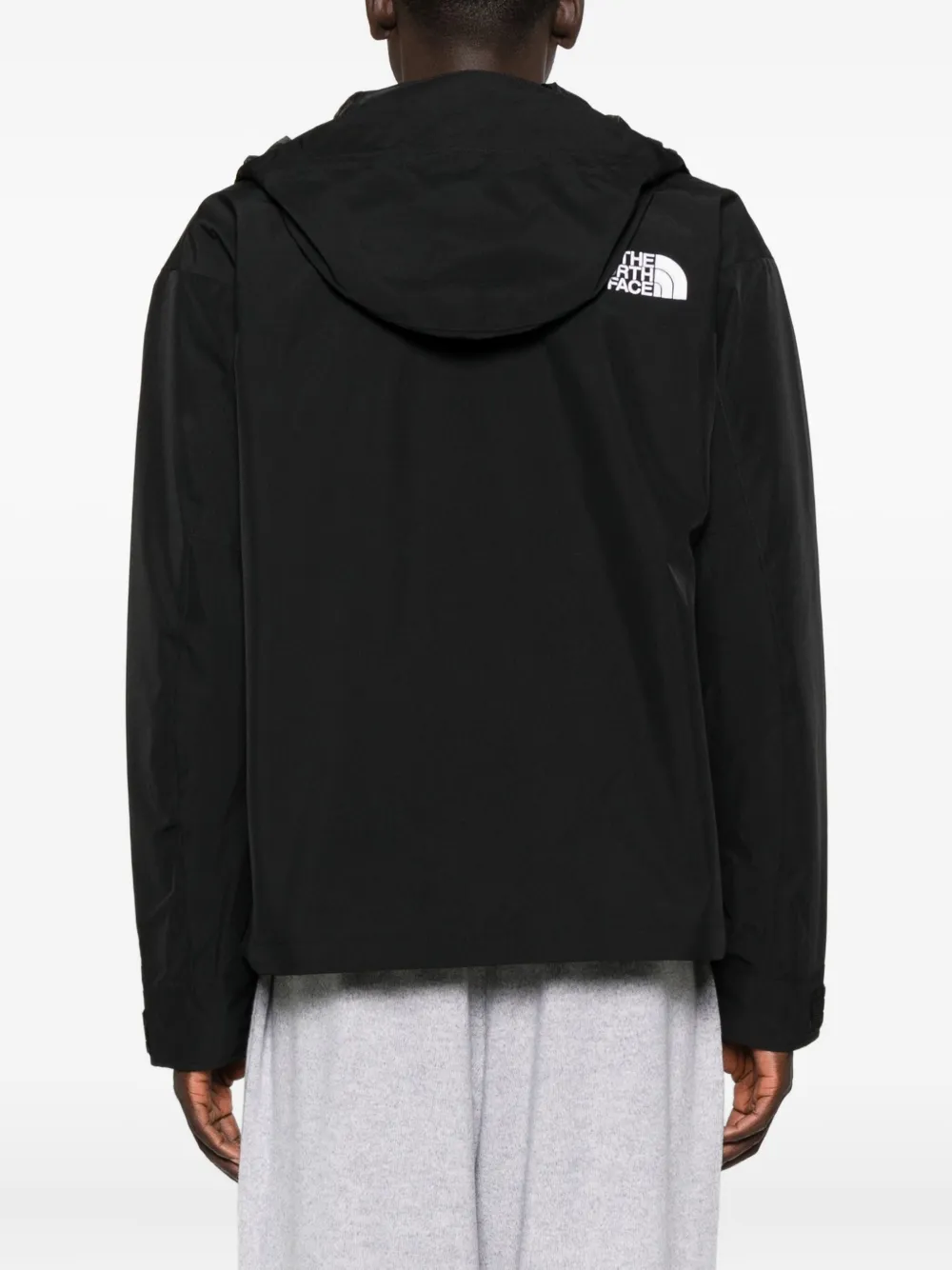 The North Face GTX Mountain jack Zwart