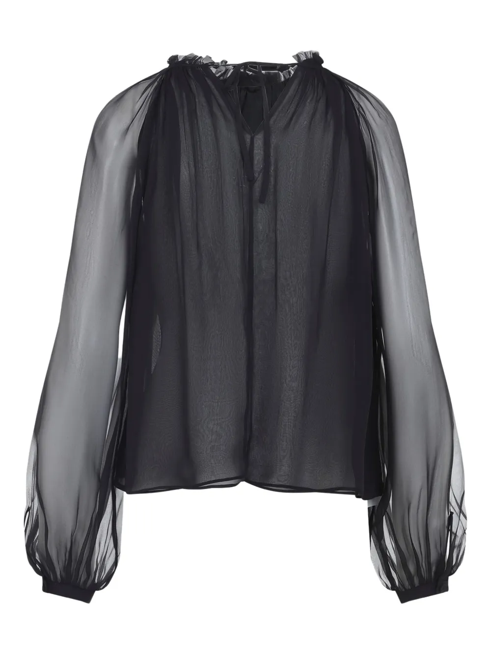 Alberta Ferretti Long Sleeve Sheer Blouse With Ruffles And Flowers In Black