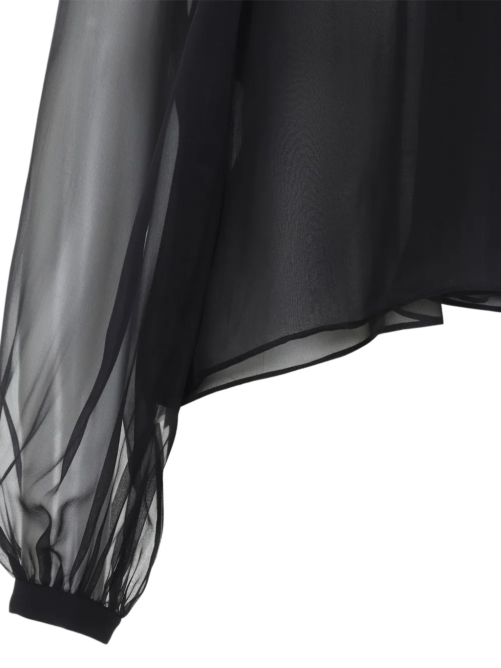 Alberta Ferretti Long Sleeve Sheer Blouse With Ruffles And Flowers In Black