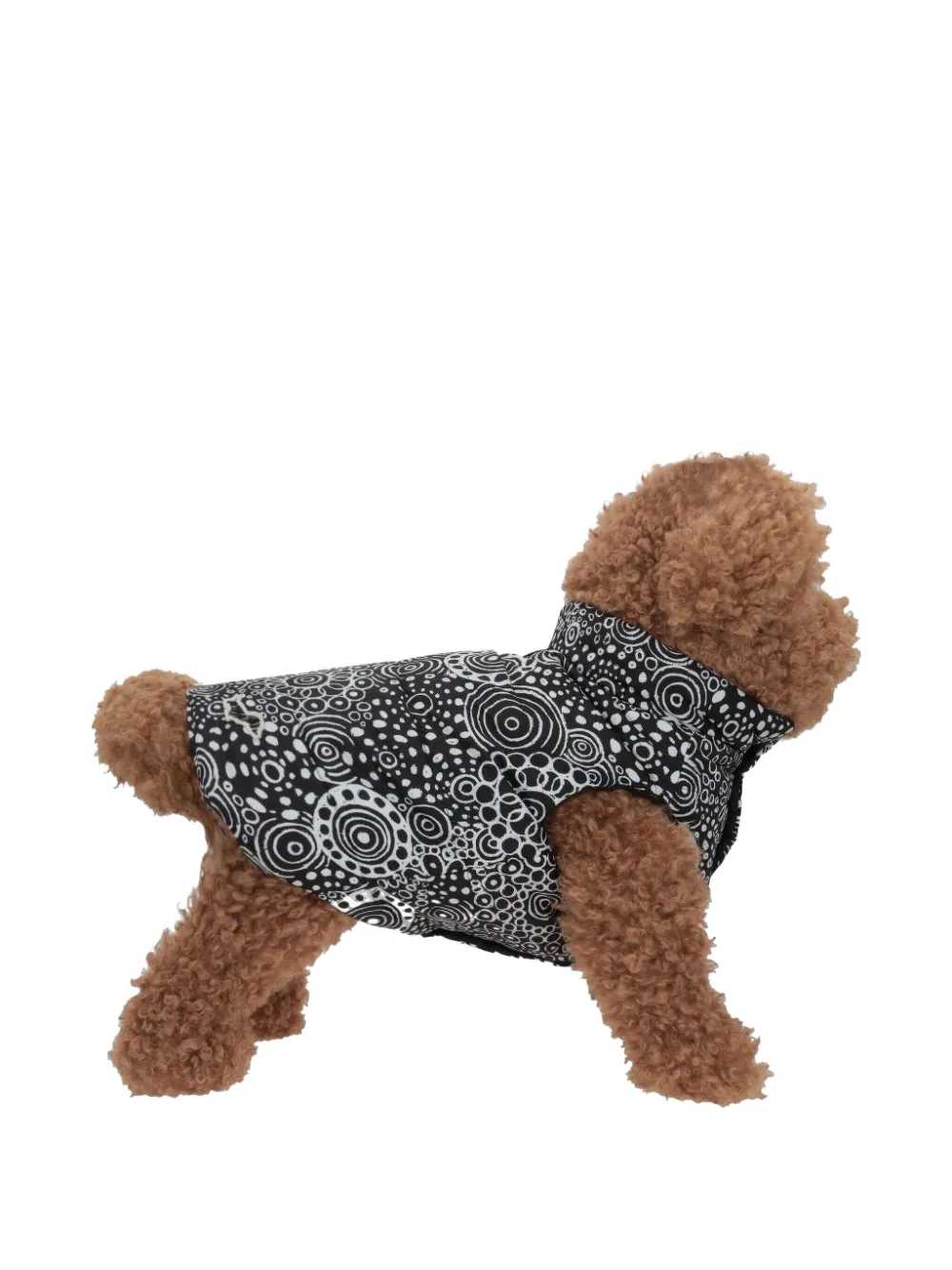 Poldo Dog Couture X 10 Corso Como Reversible Dog Gilet In Black