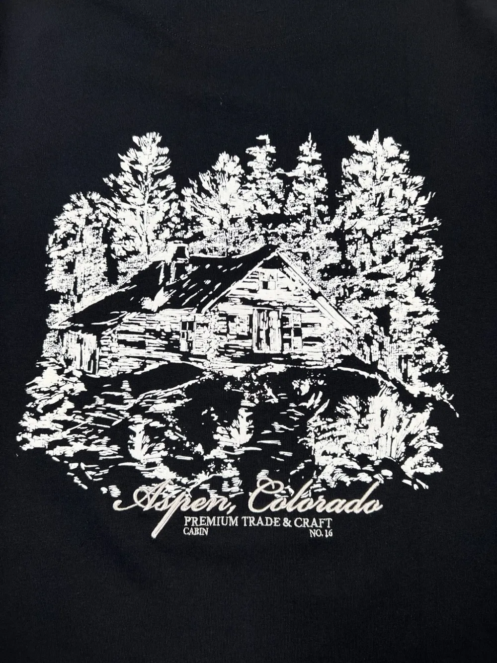 Only The Blind Aspen Mountain Lodge T-shirt In Black