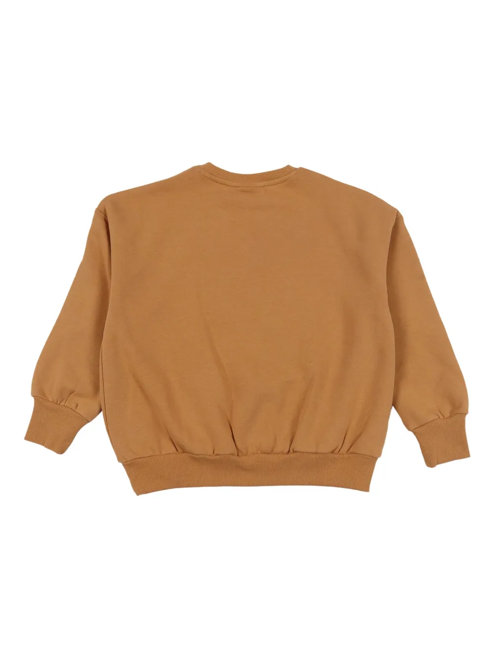 Mini Rodini Dinosaur-appliqué Long-sleeve Sweatshirt In Brown