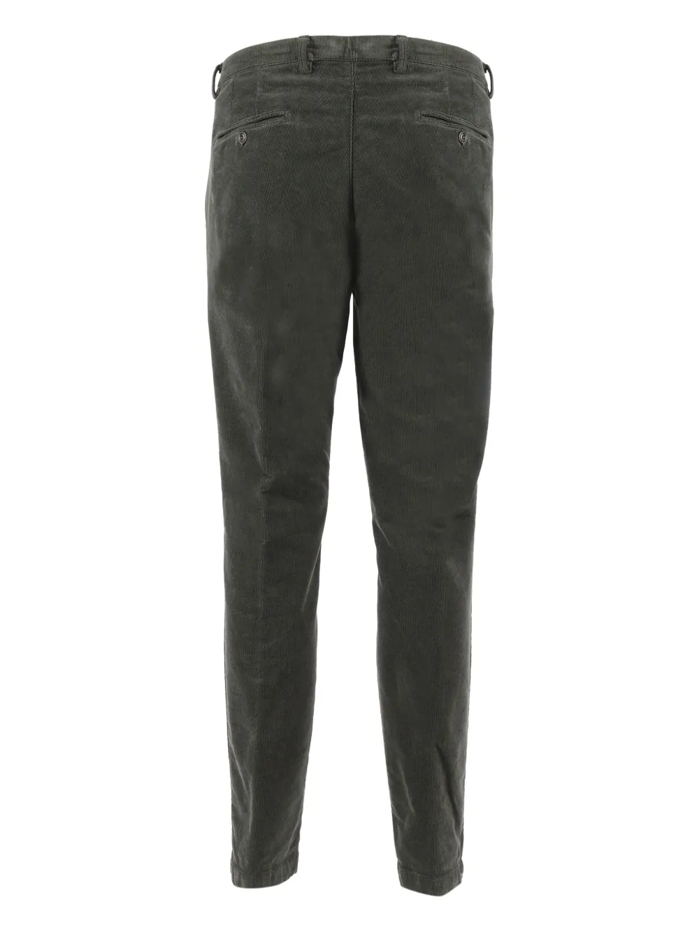 Briglia 1949 Ribfluwelen broek - Groen