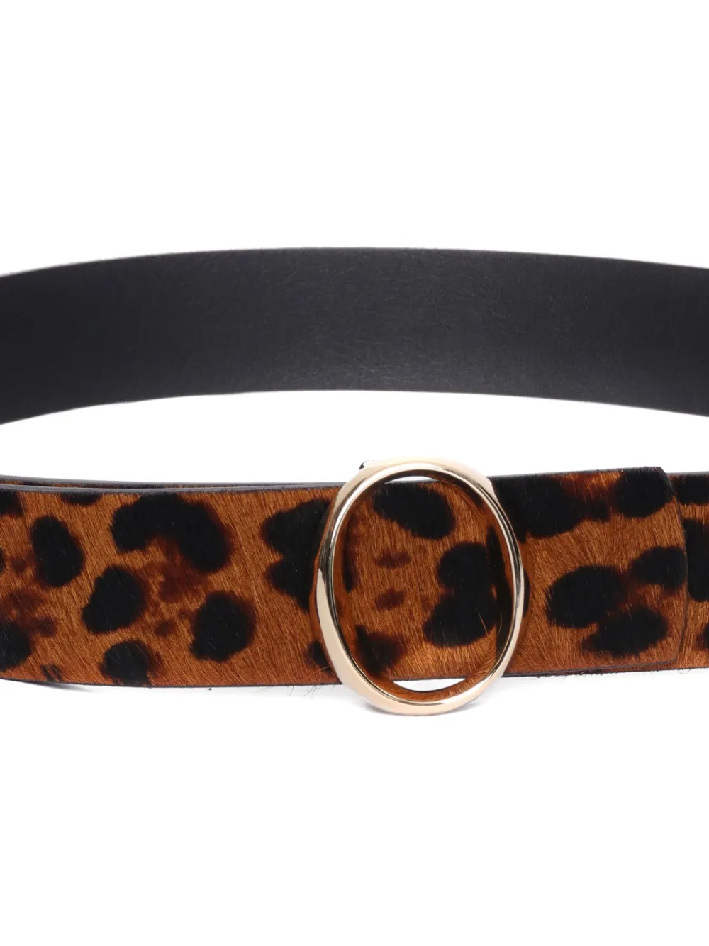 Orciani Leopard-print Belt In Brown