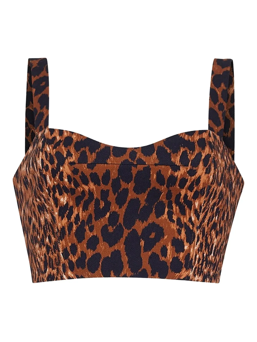 Cara Cara Opal Leopard-print Bustier Top In Brown