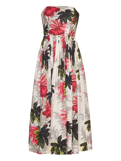 Cara Cara floral-print strapless midi day dress