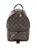 Louis Vuitton Pre-Owned 2015 Monogram Palm Springs PM backpack - Brown