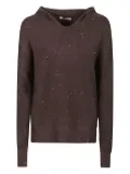 HINNOMINATE sequin-embellished hooded sweater - Brown