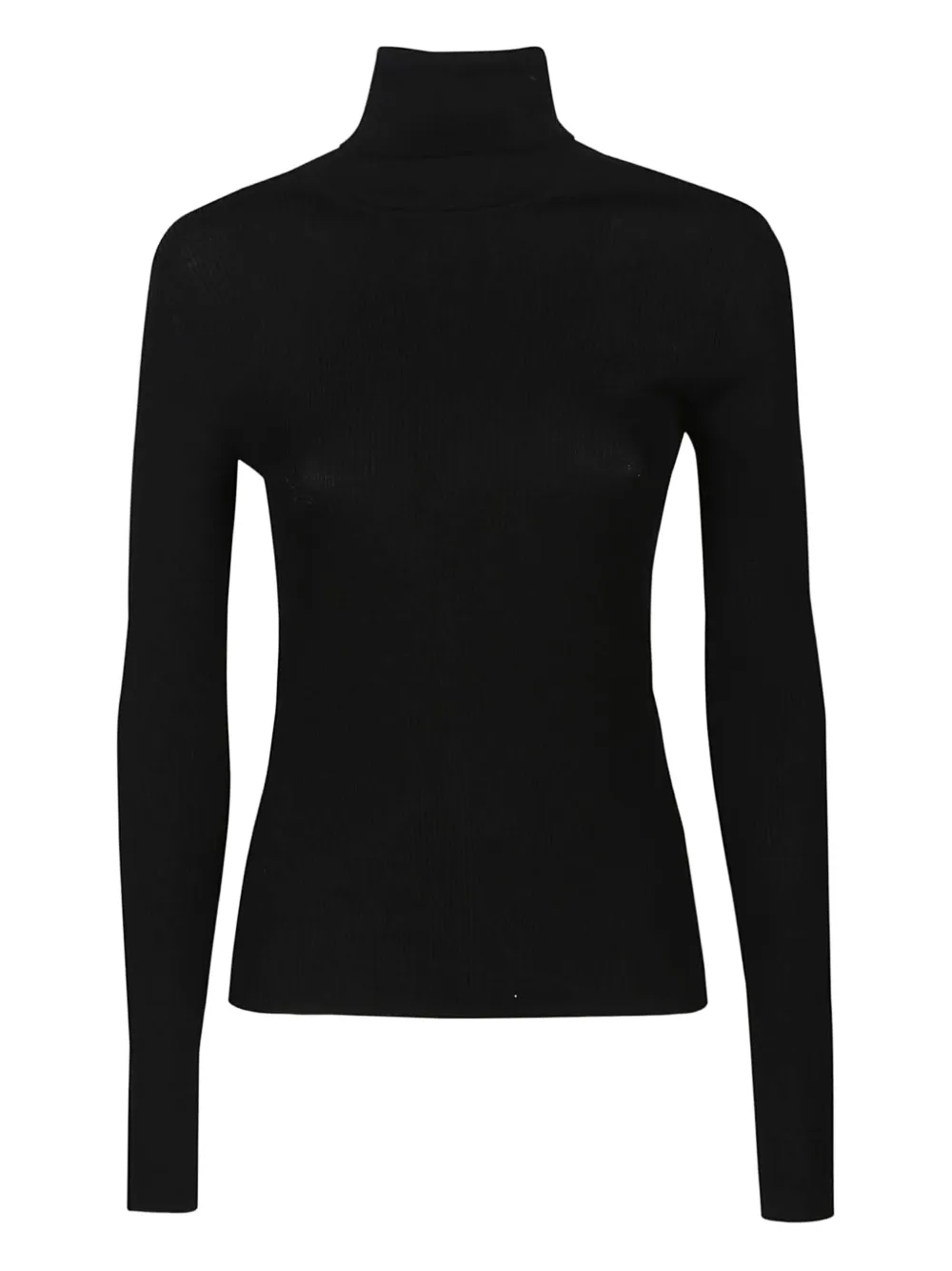 P.a.r.o.s.h Turtleneck Sweater In Black