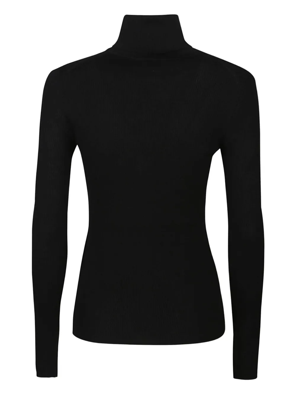 P.a.r.o.s.h Turtleneck Sweater In Black