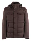 Montecore virgin wool padded jacket - Brown
