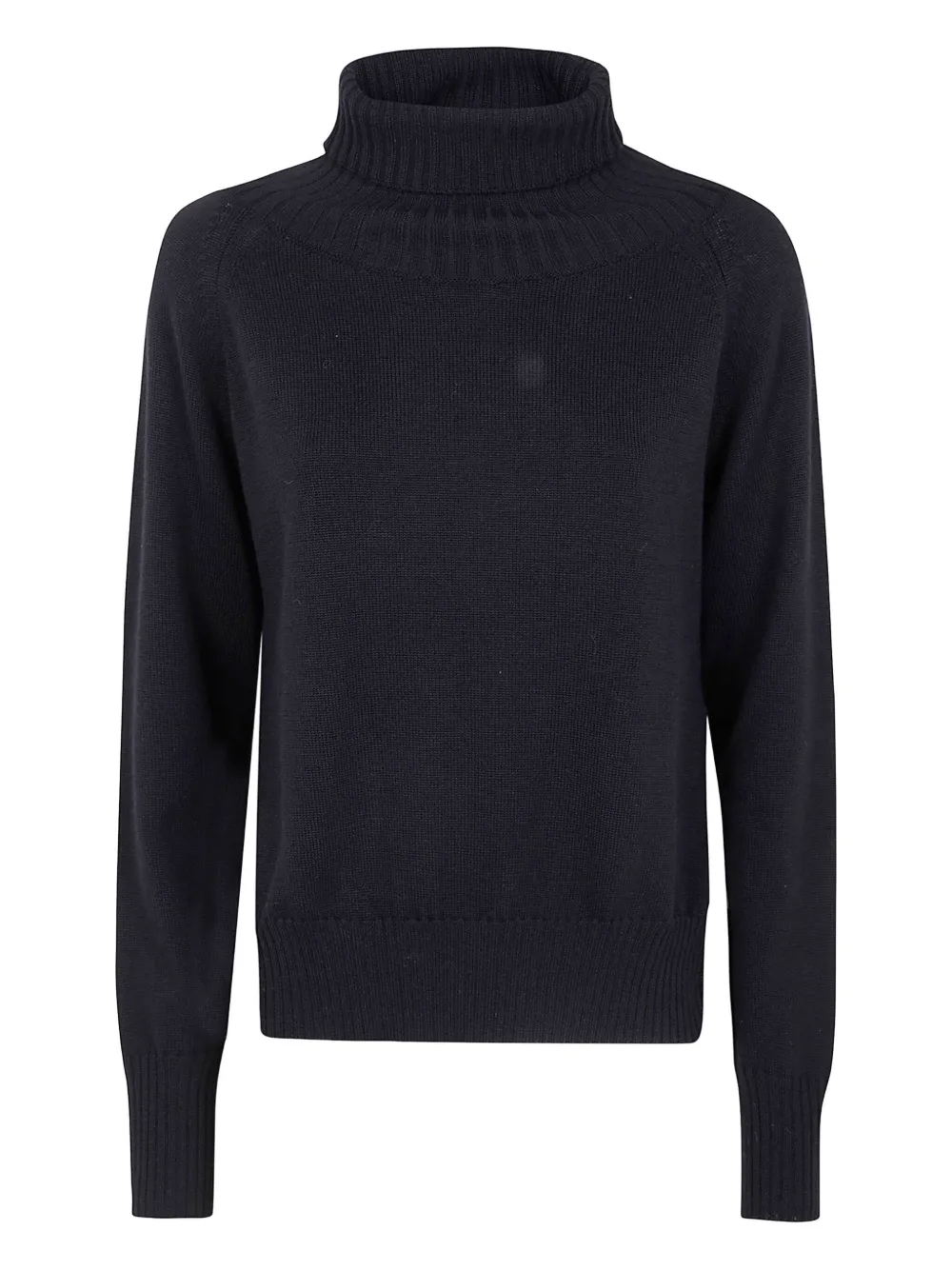 IBRIGU roll-neck sweater | Black | Image 1
