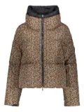 Herno stand-collar leopard-print reversible jacket - Brown