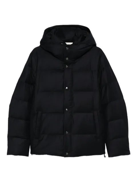 Montecore hooded padded jacket