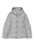 Montecore hooded padded jacket - Grey