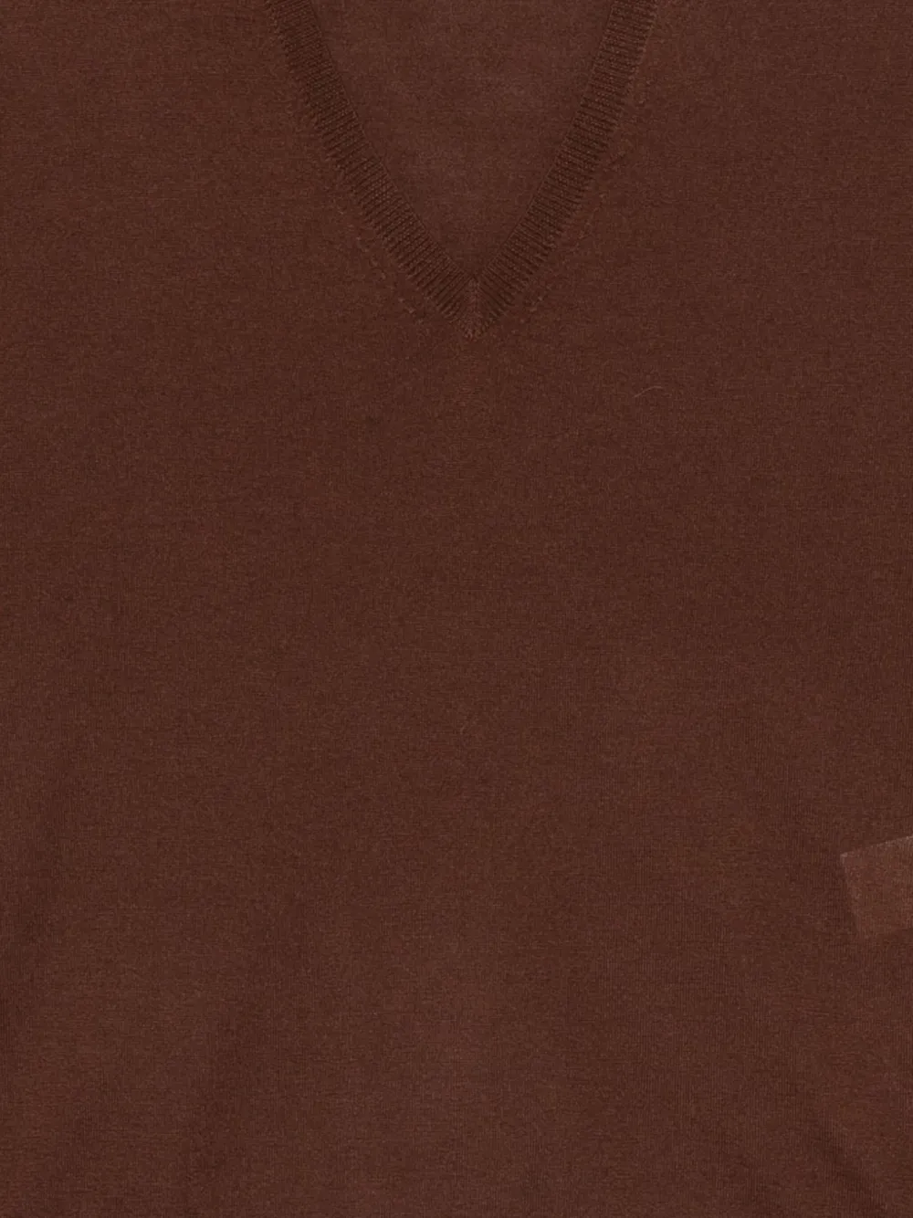 Co V-neck Sweater In Brown