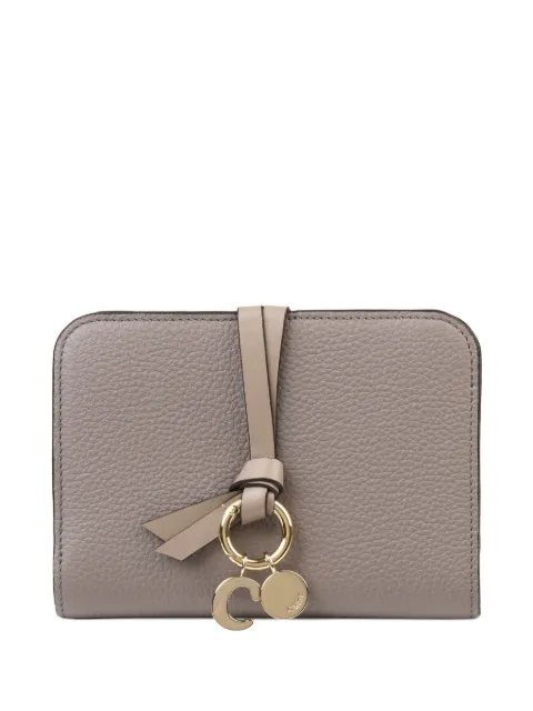 Chloé cartera de piel