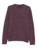 Roberto Collina crew-neck sweater - Purple