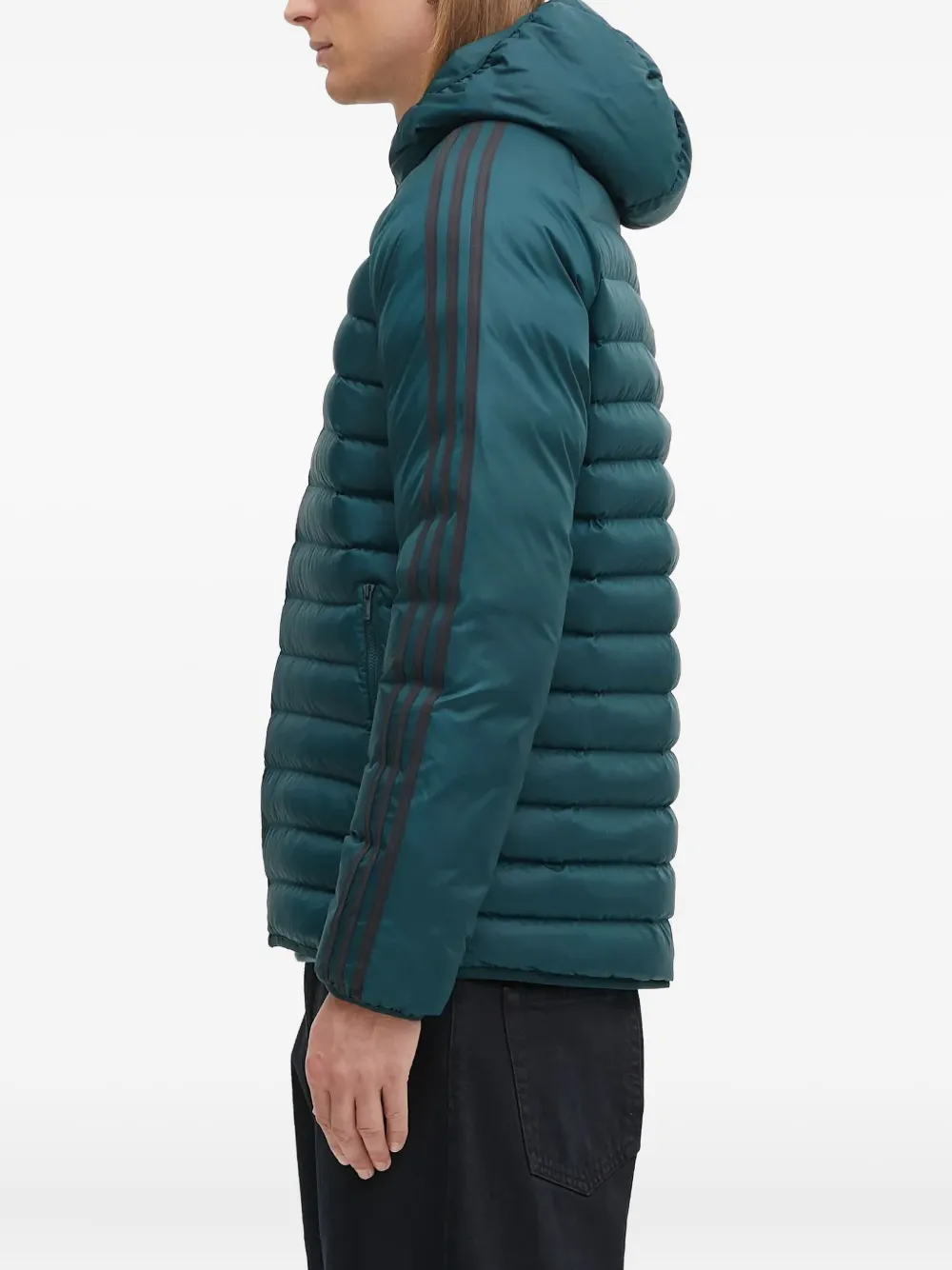 adidas Gewatteerd jack met capuchon Groen