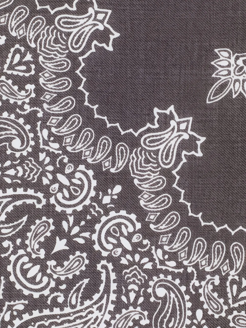 Destin Sjaal met paisley-print Zwart