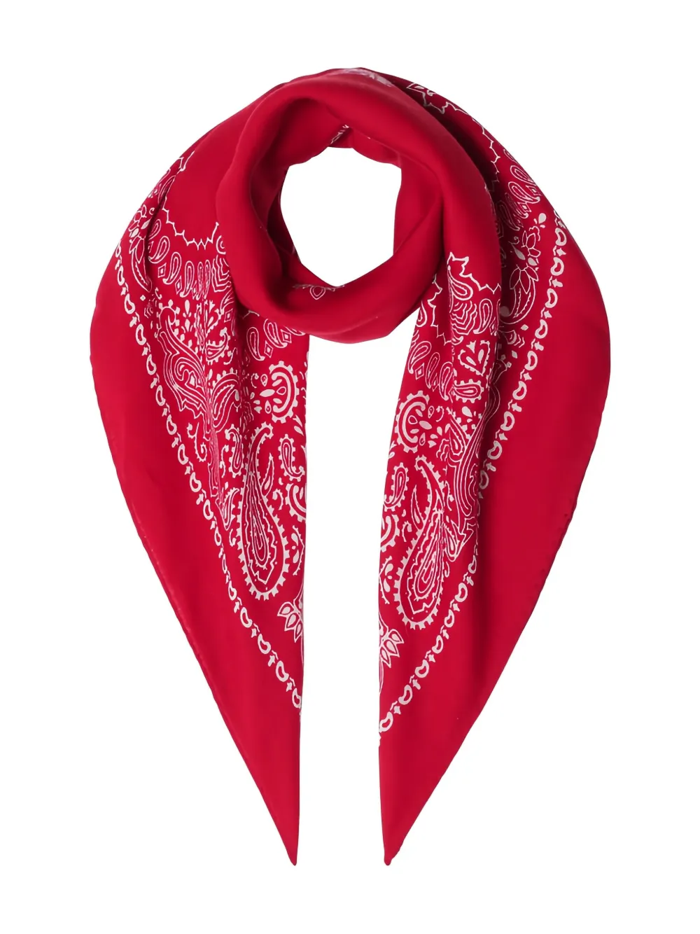 Destin écharpe à imprimé cachemire* | Image 2